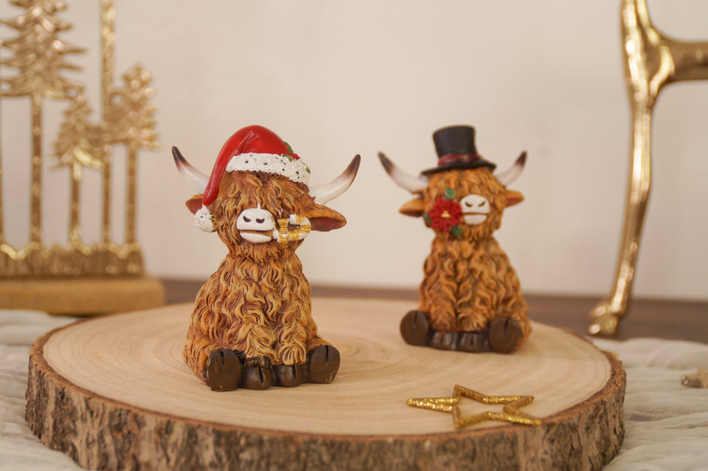 Hochlandrind Weihnachten
