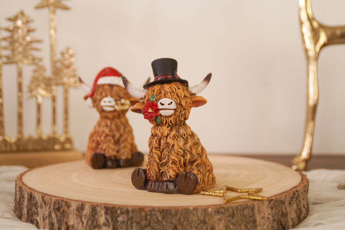 Hochlandrind Weihnachten